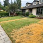 J&rsquo;arrose, j&rsquo;arrose mais ma pelouse reste jaune !